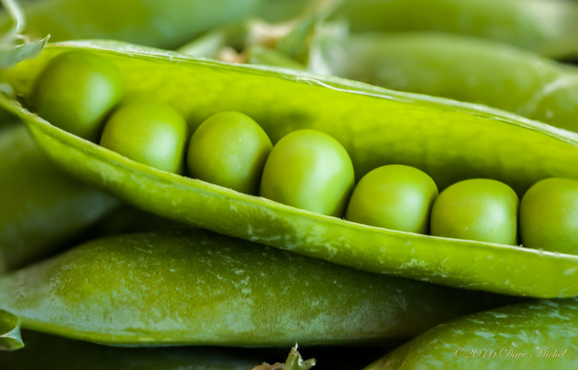 dmp-blog-peas-6