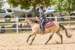 Flushing High School Equestrian