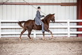 Saddle Seat Bareback