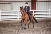 Saddle Seat Bareback