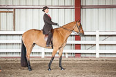 Saddle Seat Equitation