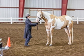 Saddle Seat Fit and Show