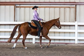 Western Equitation