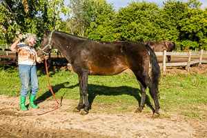 Ye Old Morgan Farm