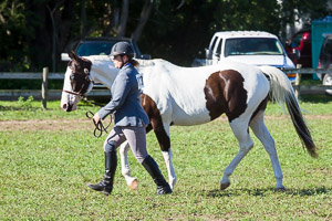 Equestrian