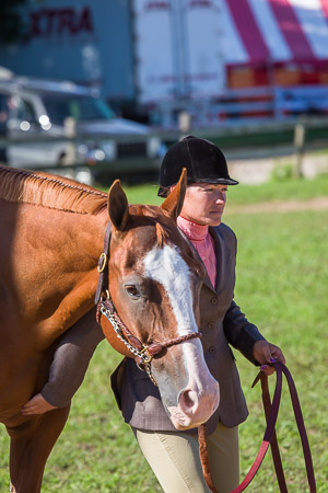 Genesee County Fair 2012