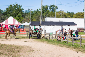 Equestrian