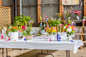 Genesee County Fair 2012