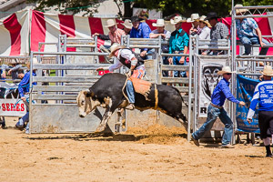 Genesee County Fair 2012