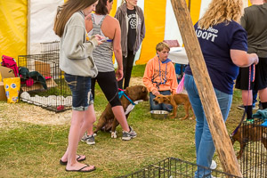 Genesee County Fair 2015