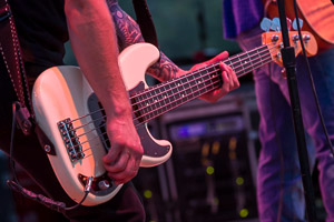 Gunner and the Grizzly Boys