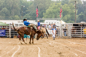Rodeo