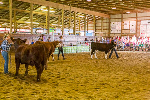 Genesee County Fair 2016