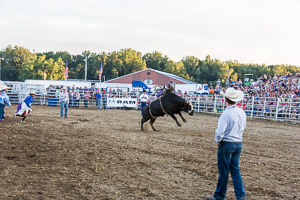 Genesee County Fair 2016