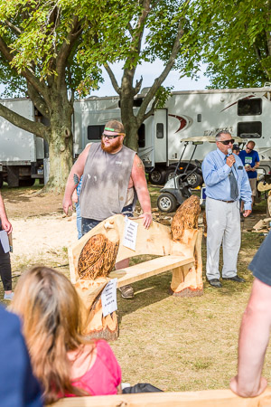 Chainsaw Art