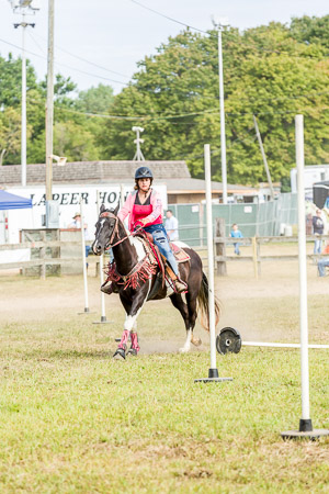 Genesee County Fair 2017