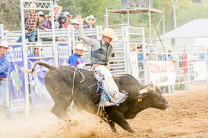Rodeo