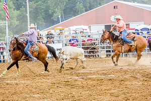 Genesee County Fair 2017