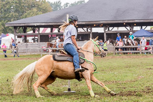 Equestrian