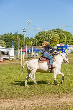 Equestrian