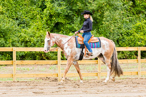 Genesee County Fair 2020 Show and Go