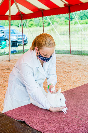 Genesee County Fair 2020 Show and Go