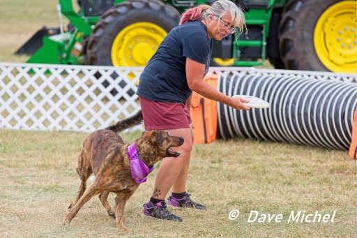 Dog Show