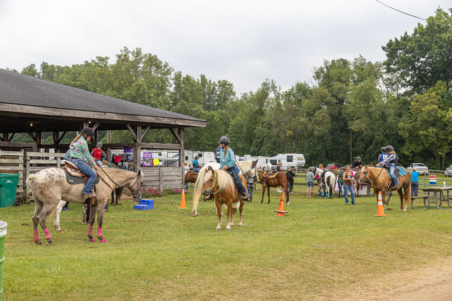 Genesee County Fair 2023