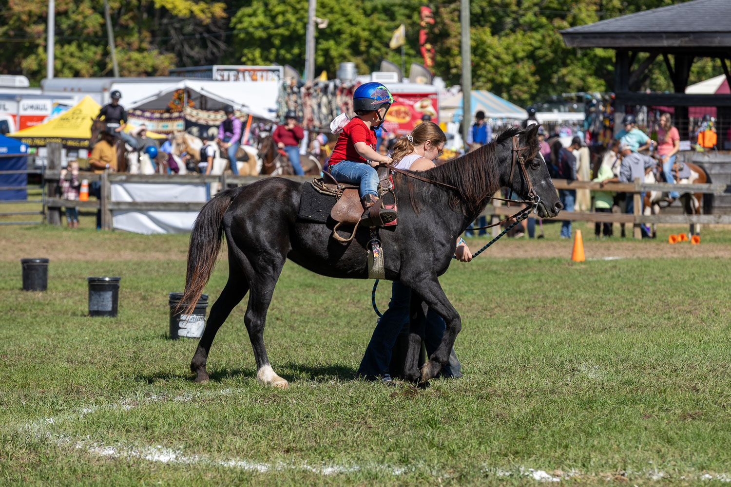 Equestrian