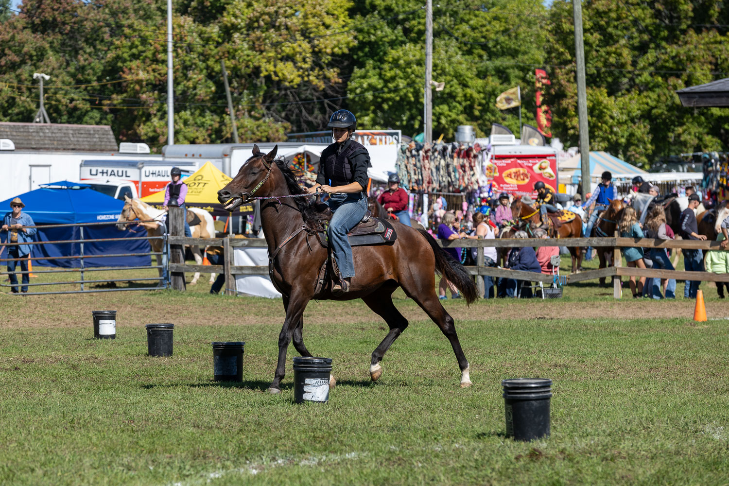 Equestrian