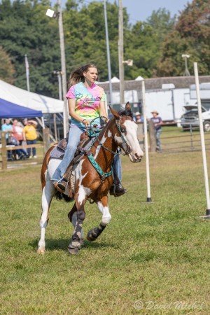 Equesterian Pole Bending