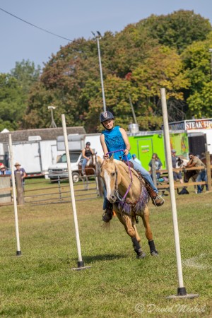 Equesterian Pole Bending