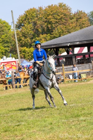 Equesterian Pole Bending
