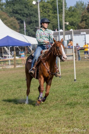 Equesterian Pole Bending