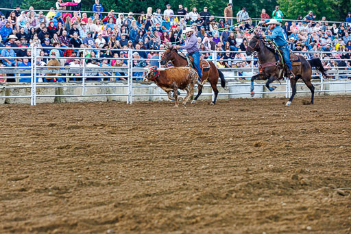 Rodeo