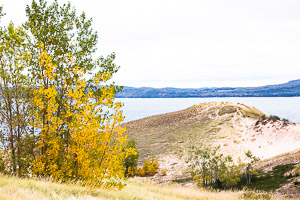 Fall