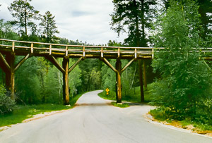 Black Hills