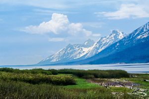 Grand Tetons